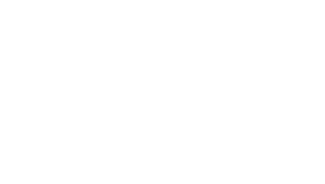 WIRTIX